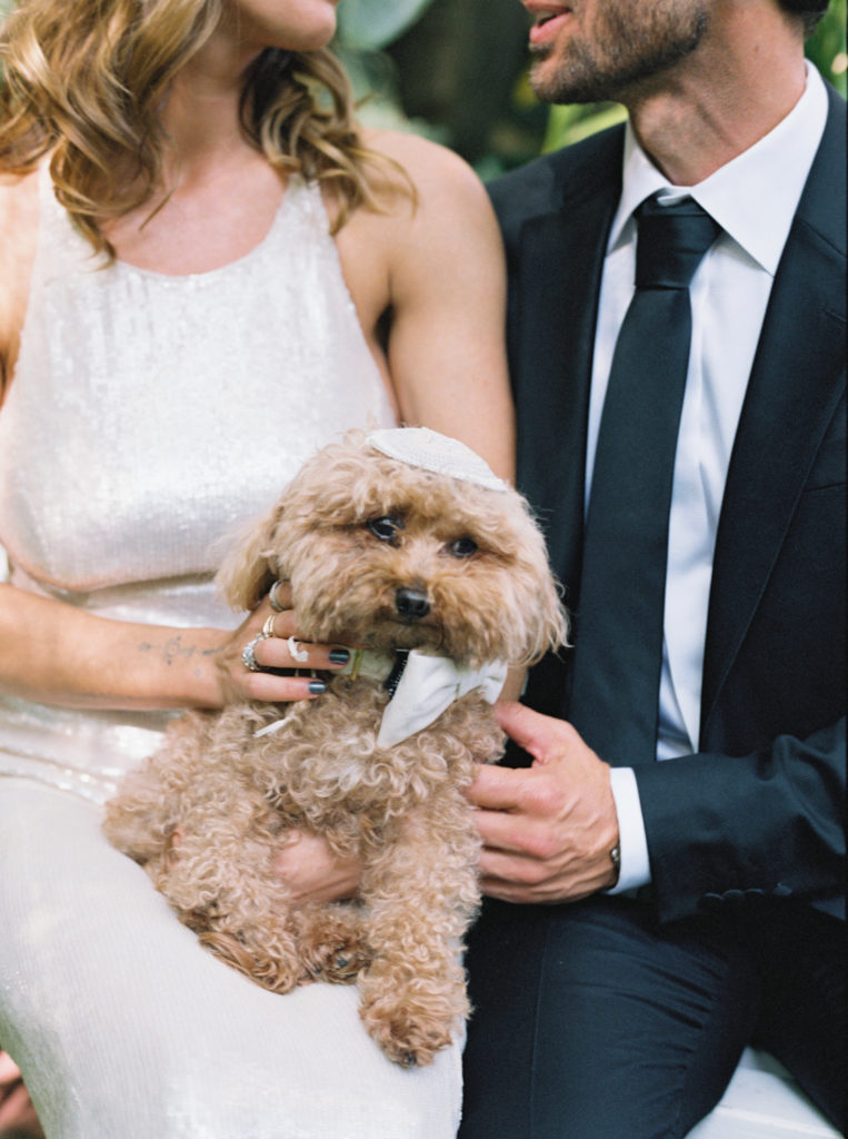 Bride and groom with their dog at sunset marquis by JS Rhos